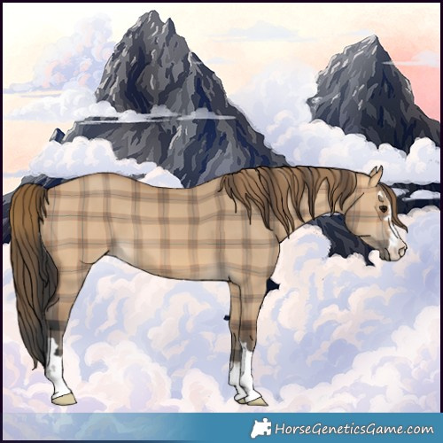 Horse Color:Plaid  Bay Dun 
