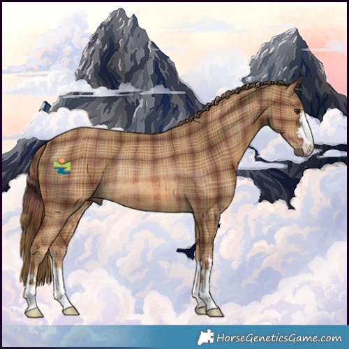 Horse Color:Plaid Chestnut Rabicano