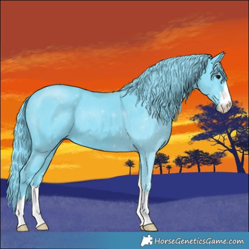 Horse Color:Watercolor Black 