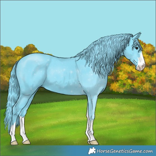 Horse Color:Watercolor Black