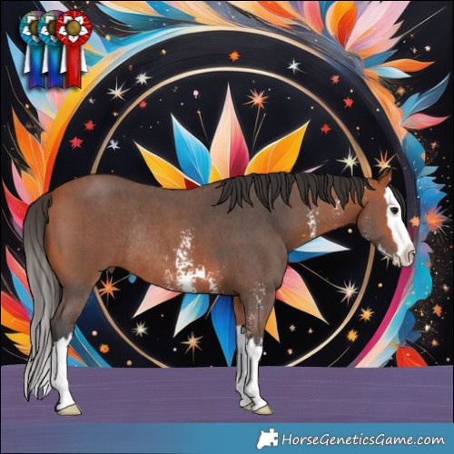 Horse Color:Bay Sabino Splash Rabicano 