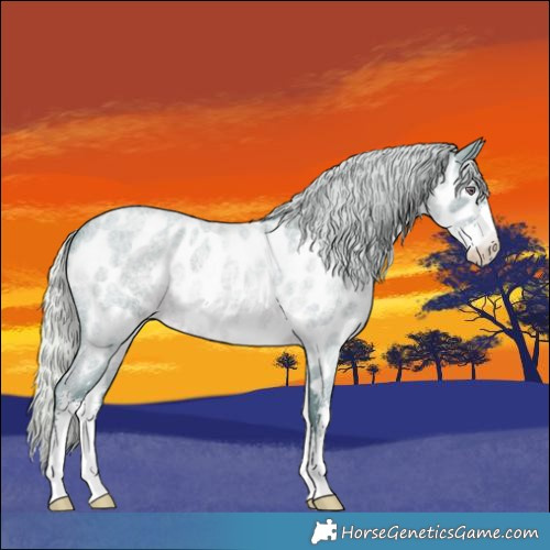 Horse Color:Watercolor Silver Blue Chinchilla Roan Sabino Near Leopard 