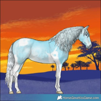 Horse Color:Watercolor Silver Bay Chinchilla Tobiano 