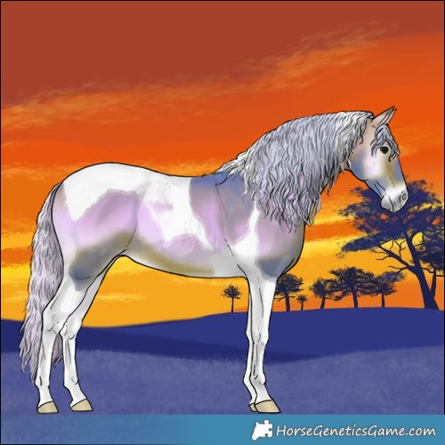 Horse Color:Watercolor Silver Brown Onyx Tobiano 