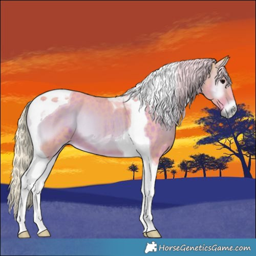Horse Color:Watercolor Silver Brown Onyx Tobiano 
