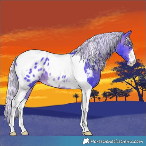 Horse Color:Watercolor Silver Brown Chinchilla Tobiano Blanket 