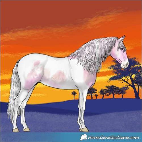 Horse Color:Watercolor Silver Bay Chinchilla Onyx Tobiano Blanket
