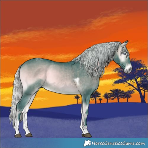 Horse Color:Watercolor Silver Brown Chinchilla Onyx Tobiano 