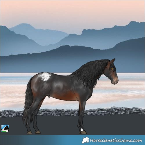 Horse Color:Brown Varnish