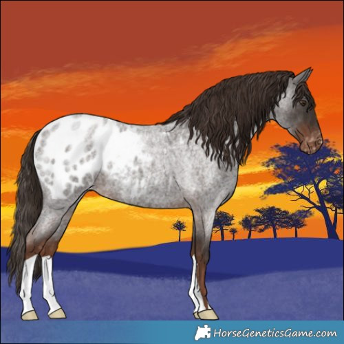 Horse Color:Liver Red Roan Blanket 