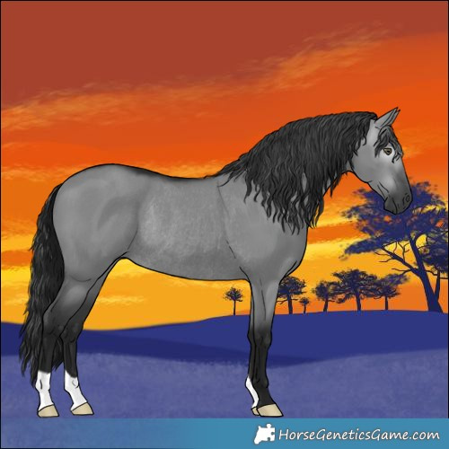 Horse Color:Gray Grullo Chinchilla Rabicano 
