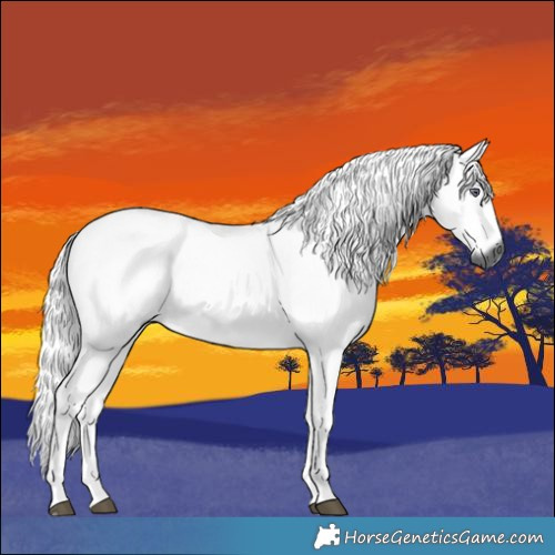 Horse Color:Gray Red Dun Chinchilla Roan Rabicano
