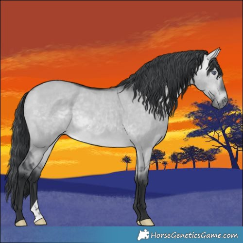 Horse Color:Bay Chinchilla Dun
