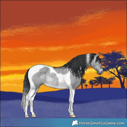 Horse Color:Brown Chinchilla Dun Tobiano Rabicano 