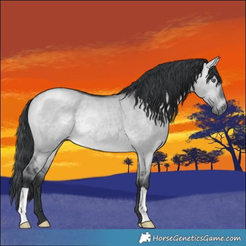 Horse Color:Brown Chinchilla Dun Rabicano 