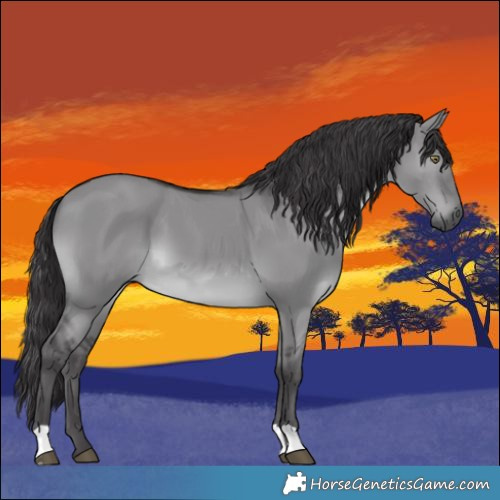 Horse Color:Smoky Grullo Chinchilla 