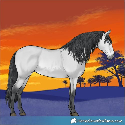 Horse Color:Bay Chinchilla Dun Rabicano