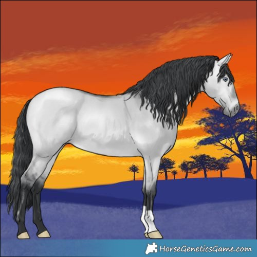 Horse Color:Bay Chinchilla Dun