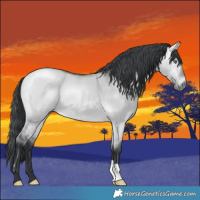 Horse Color:Bay Chinchilla Dun 