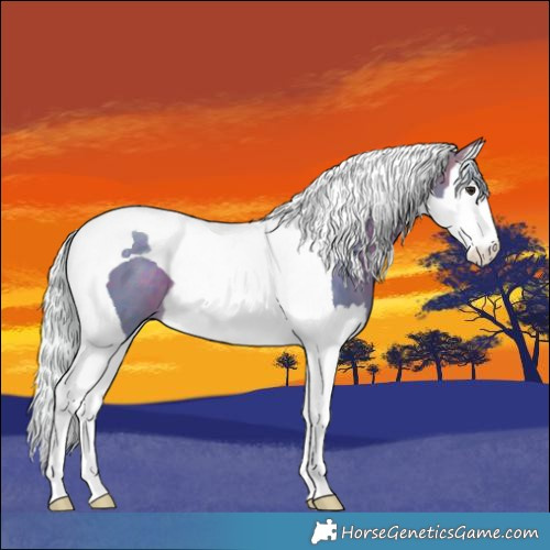 Horse Color:Watercolor Silver Brown Splash Tobiano 