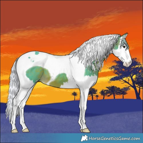 Horse Color:Watercolor Silver Brown Splash Tobiano