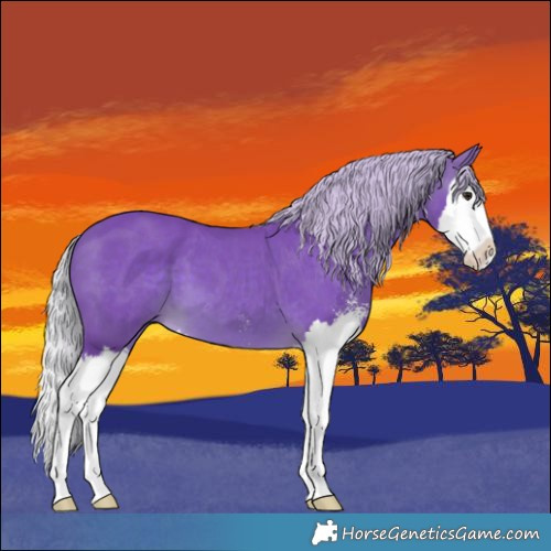 Horse Color:Watercolor Silver Brown Sabino Splash