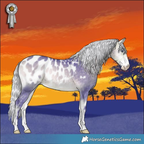 Horse Color:Watercolor Silver Buckskin Chinchilla Onyx Sabino Appaloosa 