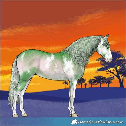 Horse Color:Watercolor Silver Blue Onyx Chinchilla Sabino 