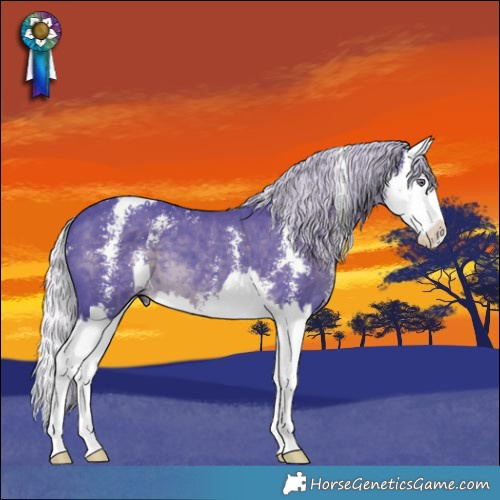 Horse Color:Watercolor Silver Black Chinchilla Sabino Splash 