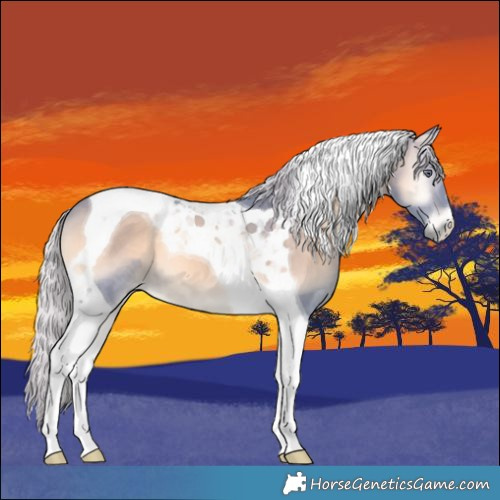 Horse Color:Watercolor Silver Brown Chinchilla Onyx Tobiano