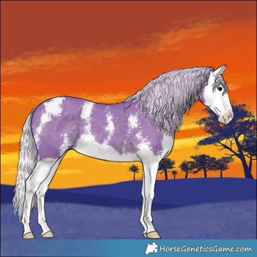 Horse Color:Watercolor Silver Black Sabino Splash