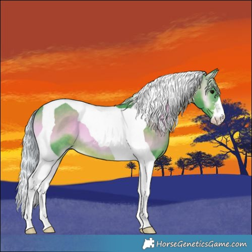 Horse Color:Watercolor Silver Brown Onyx Tobiano