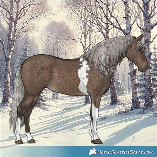 Horse Color:Silver Brown Dun Tobiano 