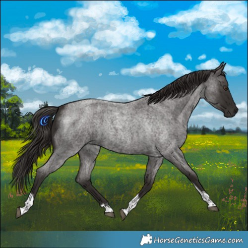 Horse Color:Liver Red Roan Tobiano