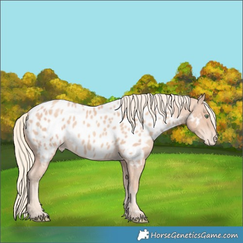 Horse Color:Gold Champagne Mushroom Near Leopard 