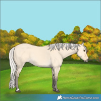Horse Color:Silver Buckskin Dun 