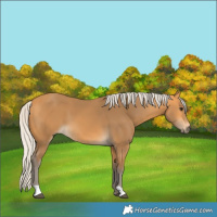 Horse Color:Silver Buckskin