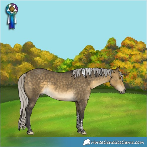 Horse Color:Silver Buckskin Dun Tobiano Rabicano