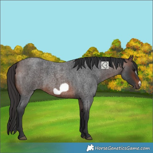 Horse Color:Brown Roan Frame