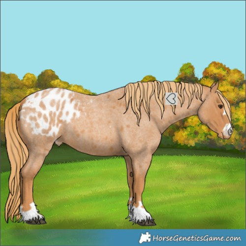 Horse Color:Red Roan Blanket 