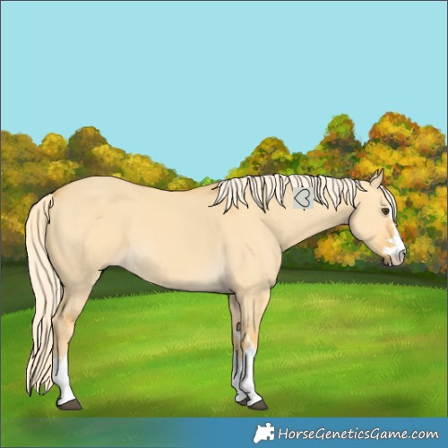 Horse Color:Palomino Dun 