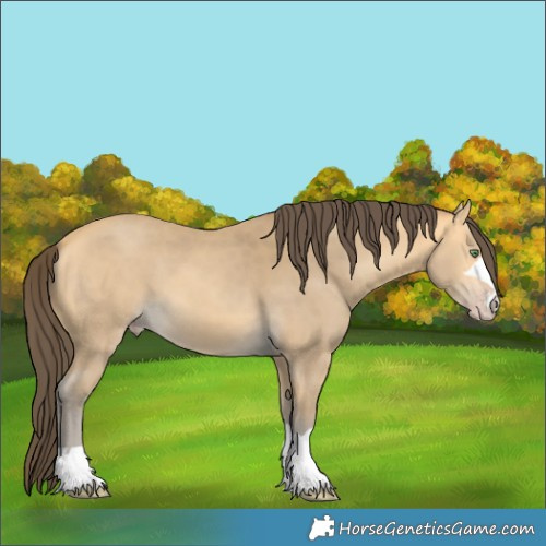 Horse Color:Amber Cream Champagne