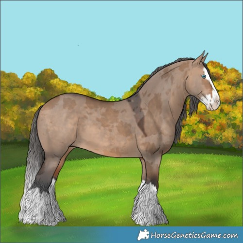 Horse Color:Bay Dun Merle Splash 