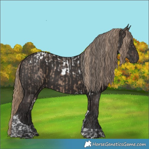 Horse Color:Brown Dun Merle Skewed Appaloosa  and Liver Chestnut Tobiano 