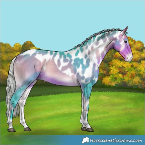 Horse Color:Watercolor Silver Buckskin Onyx Tobiano Skewed Appaloosa 