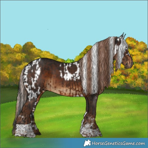 Horse Color:Gray Brown Tobiano  and Gray Liver Chestnut Tobiano Skewed Appaloosa 