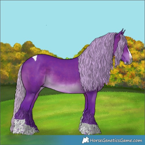 Horse Color:Gray Watercolor Silver Brown Splash Tobiano Rabicano 
