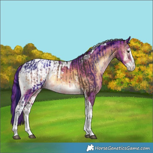 Horse Color:Liver Red Onyx Splash Tobiano Appaloosa  and Watercolor Liver Red Onyx Splash Tobiano Appaloosa 