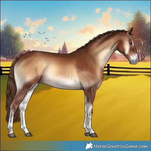 Horse Color:Red Onyx Tobiano