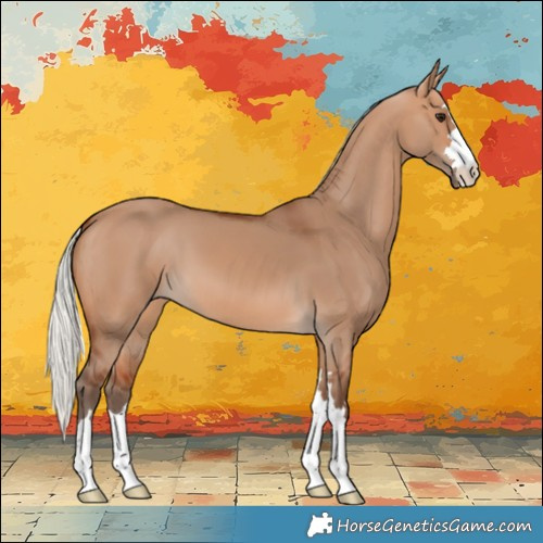 Horse Color:Silver Bay Ice Dun 